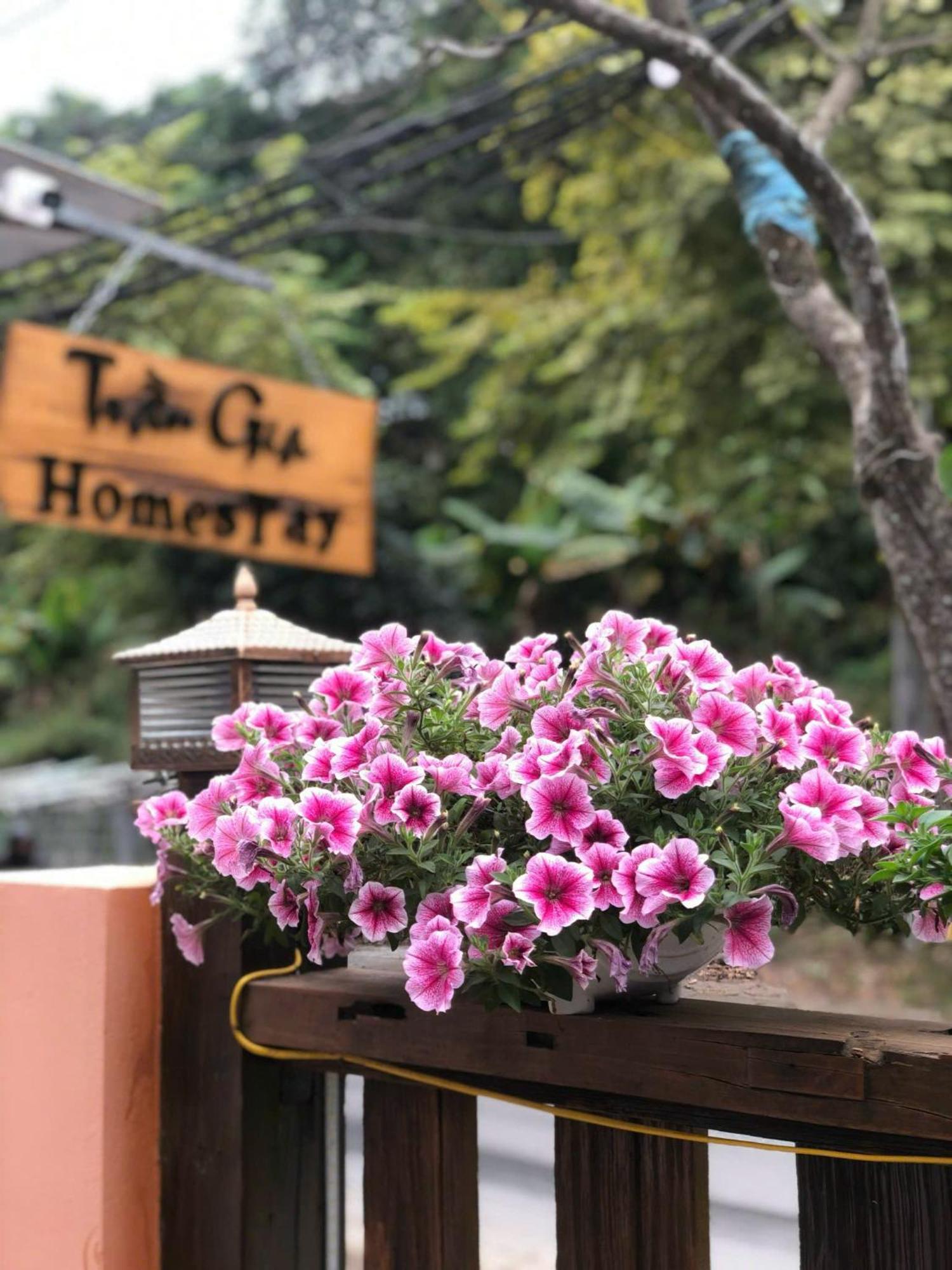 Tran Gia Homestay Nghia Lo エクステリア 写真